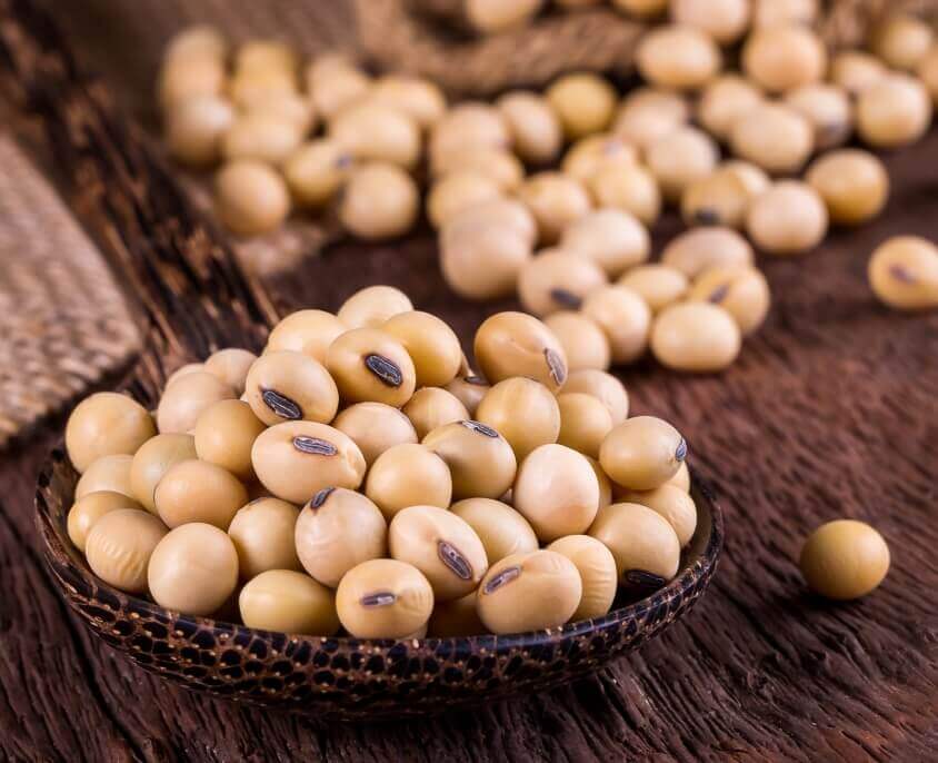 Feed Stuff Manufacturers in India