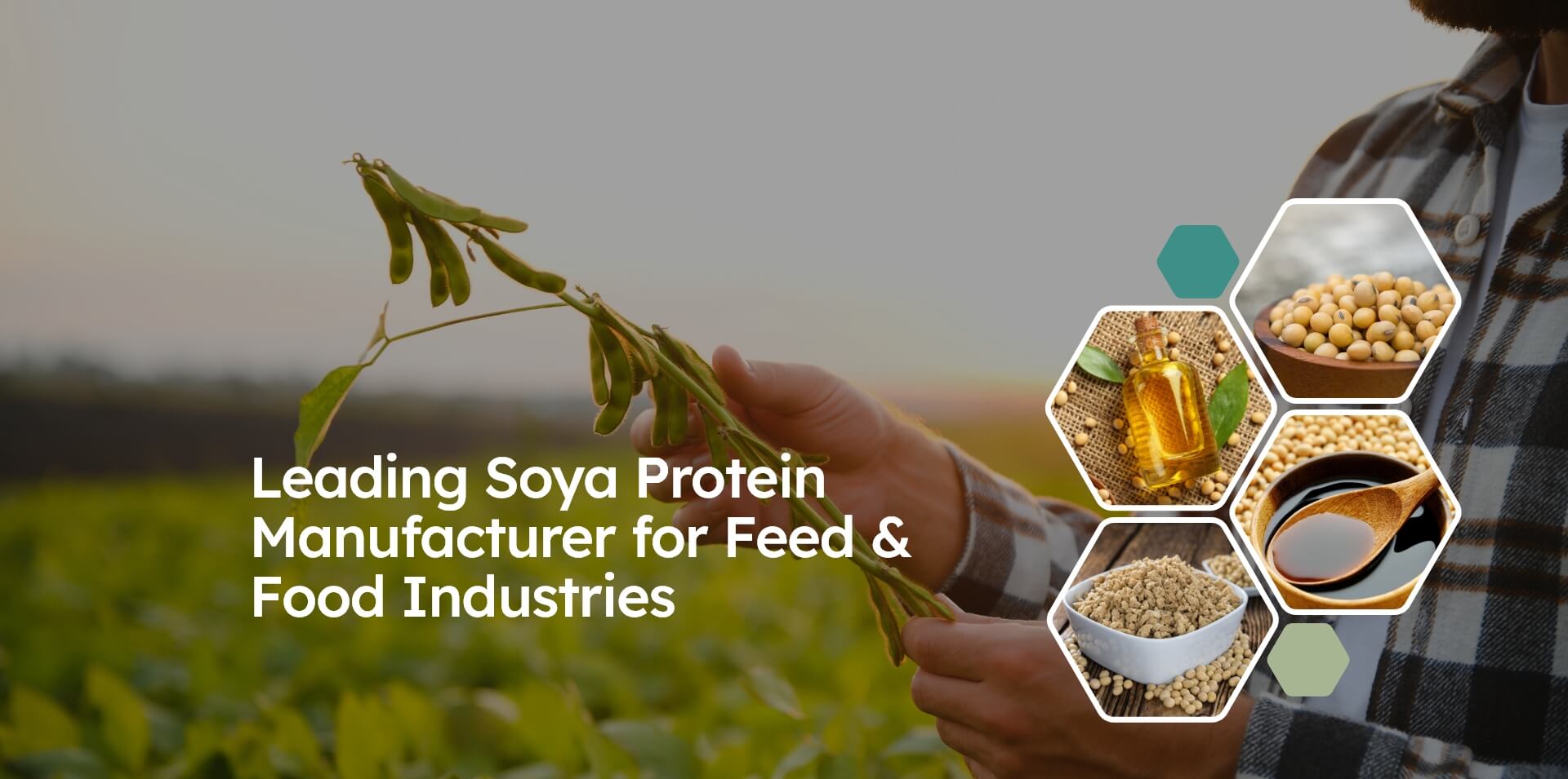 Leading Soya Protein Manufacturer for Feed Industries
