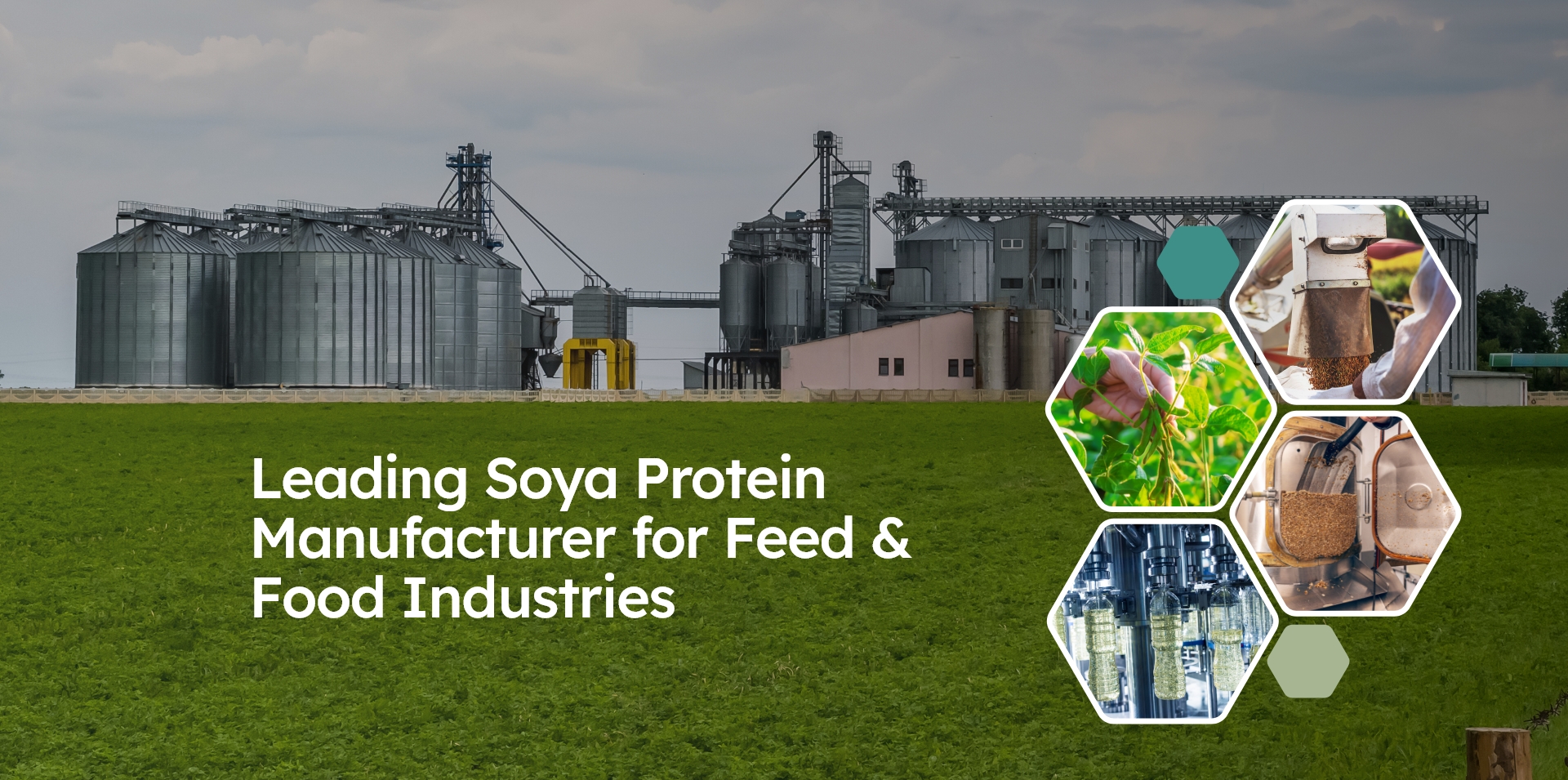 Soya Protein Manufacturer for Feed and Food Industries