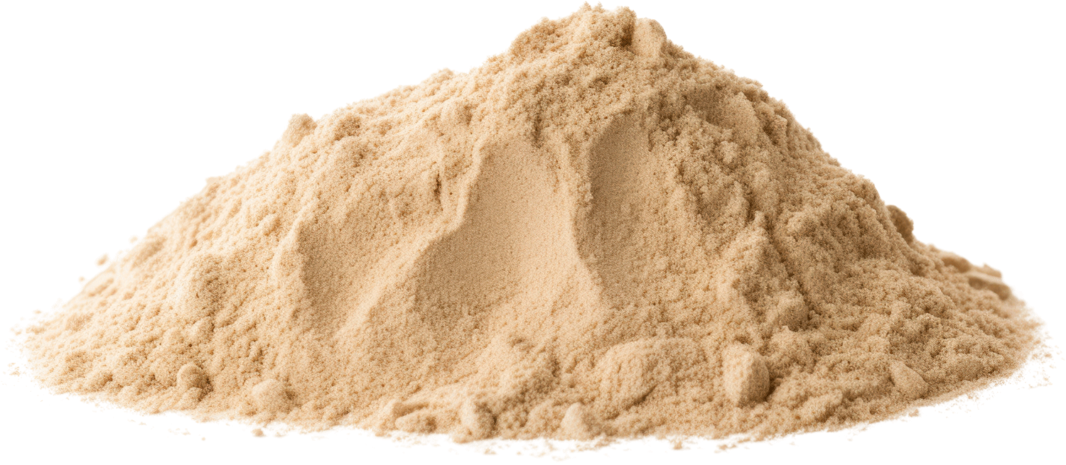 Advance Soya Protein Manufacturer India