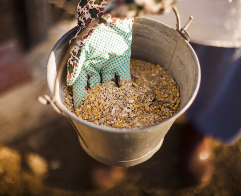 Soybean Meal Manufacturers in India