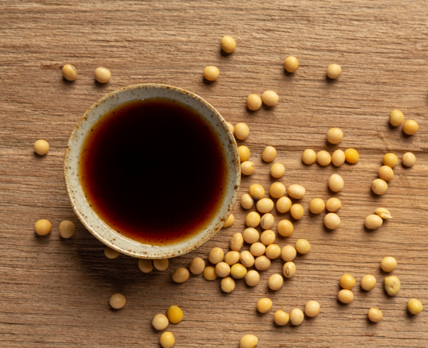 Lecithin Manufacturers in India