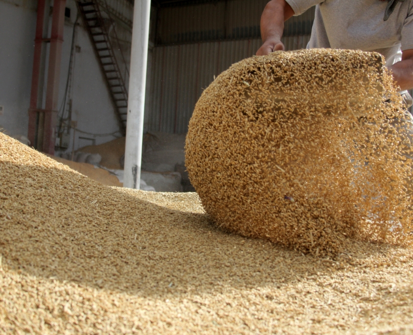 Soybean Meal Exporter